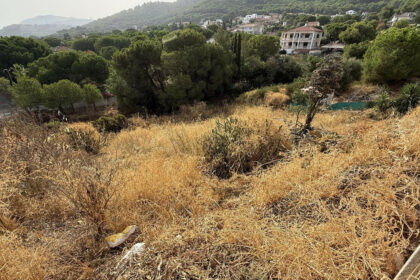 987076fcf3007b985bf917229035ee35 - 20