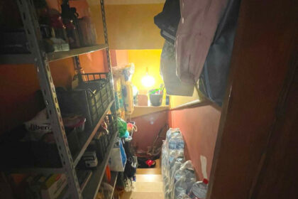 9954f0b4bce36e50859558786663fad7 - 29