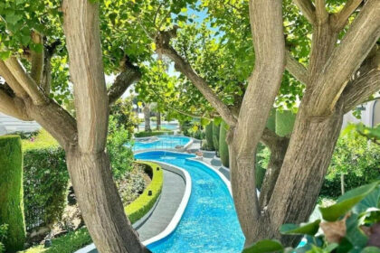 99eeae691997034ba66a2cd6f2c6c73c - 24