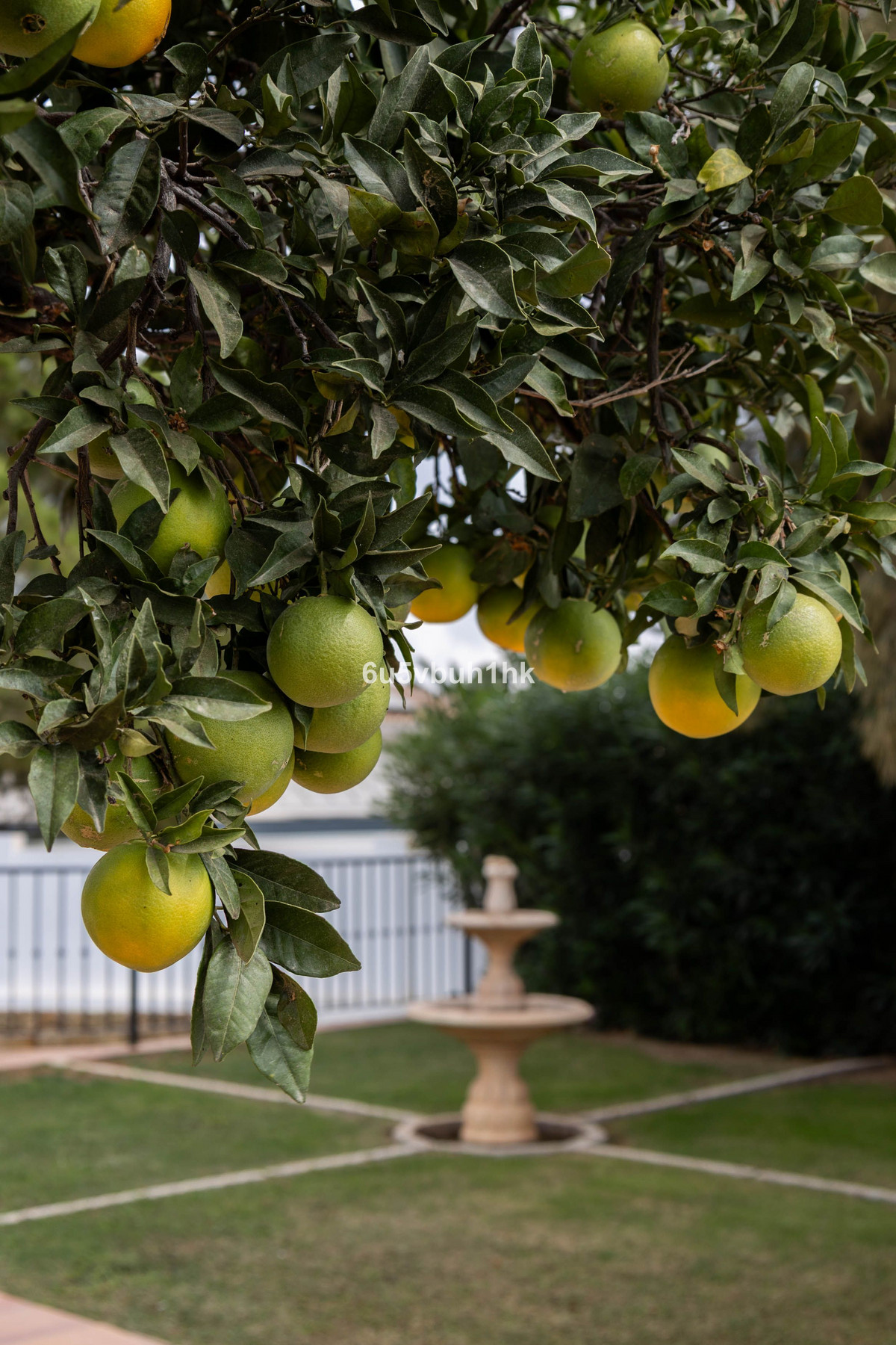 9cc25238baa13d6d984cc873238c4fbd - 40