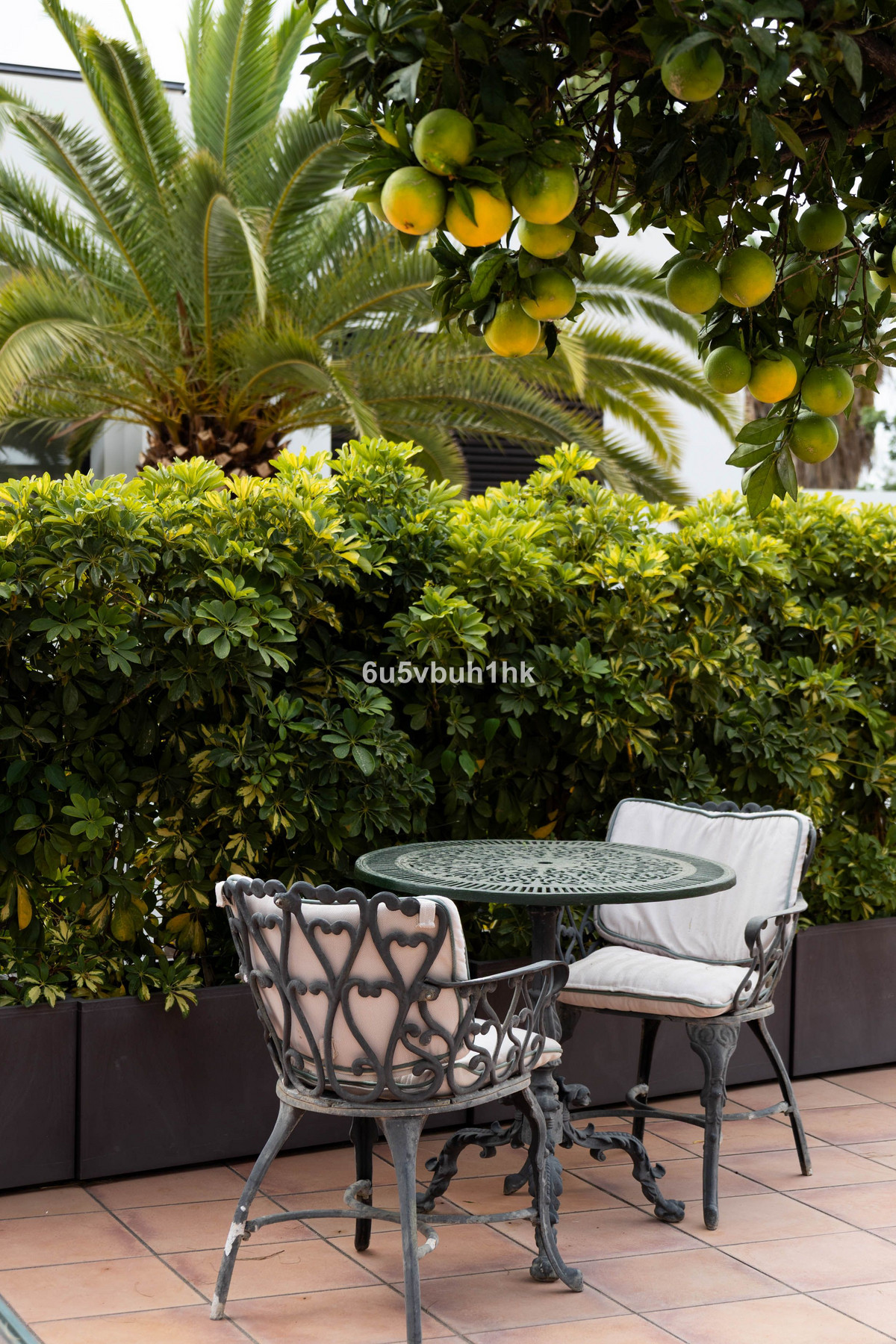 9cc25238baa13d6d984cc873238c4fbd - 41