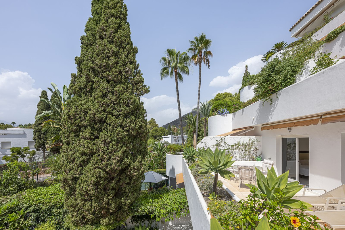 9fee75a0ab6228b7ed305e7923d14d1e - 35