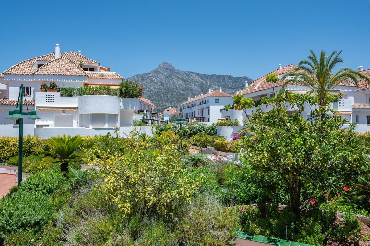 9fee75a0ab6228b7ed305e7923d14d1e - 37