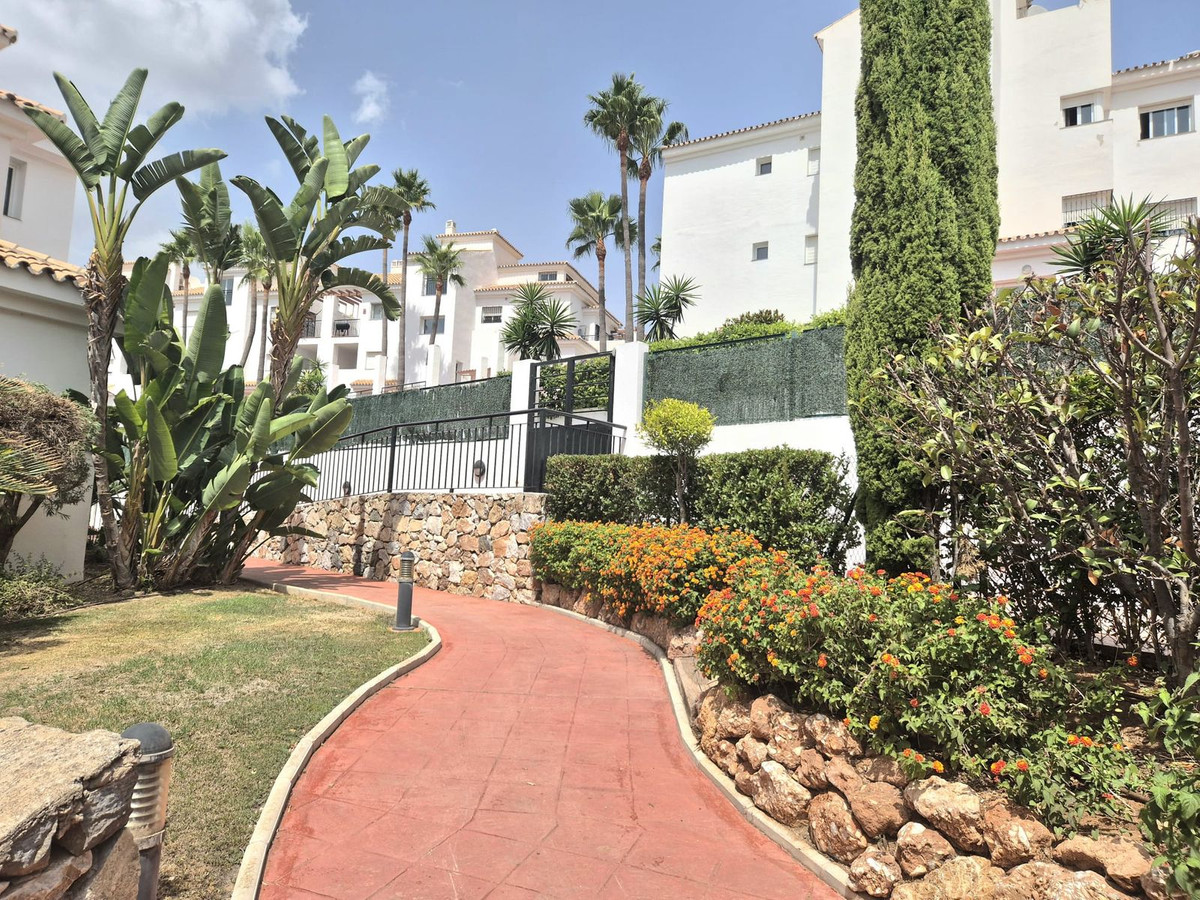 a1d551924be26a4275160f15e36d274a - 25