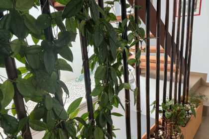 a307dcc9d655d26f0fb3d46f4b8d0e12 - 55