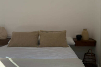 a3bcfb9a1790c28501bf045fb663a599 - 11