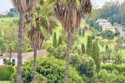 a3f4f9fe6a2493dc03e5a0bdc2e64c89 - 3