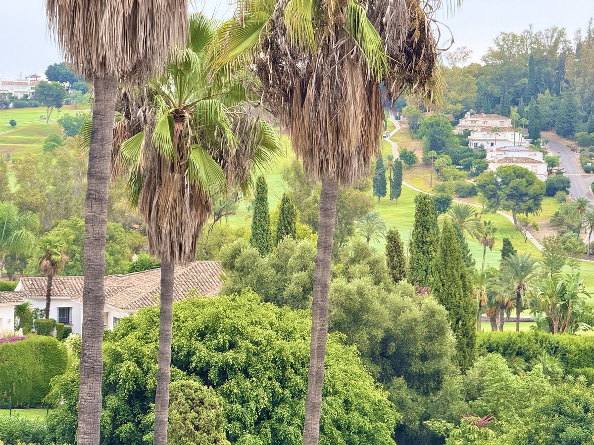 a3f4f9fe6a2493dc03e5a0bdc2e64c89 - 3