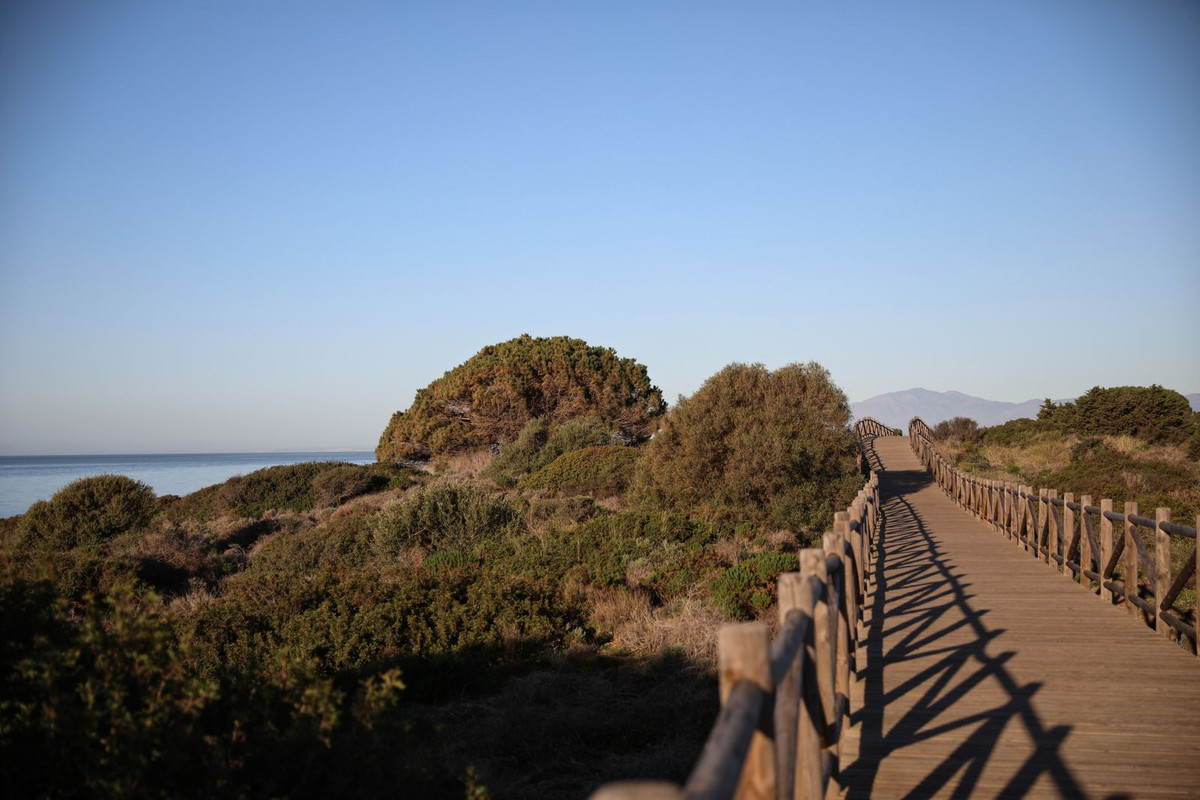 a6013c4358bfa972904635b7078d869e - 30