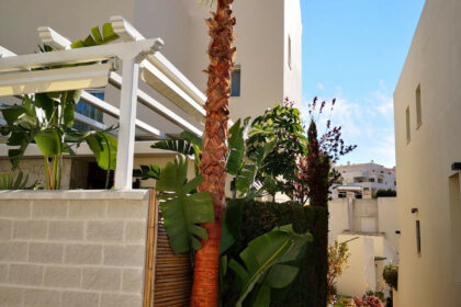 a8fa98026c83b652569c3afe411b0096 - 17