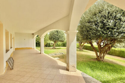 ab16b7552df16b2359eb4ad4b6391bcf - 6