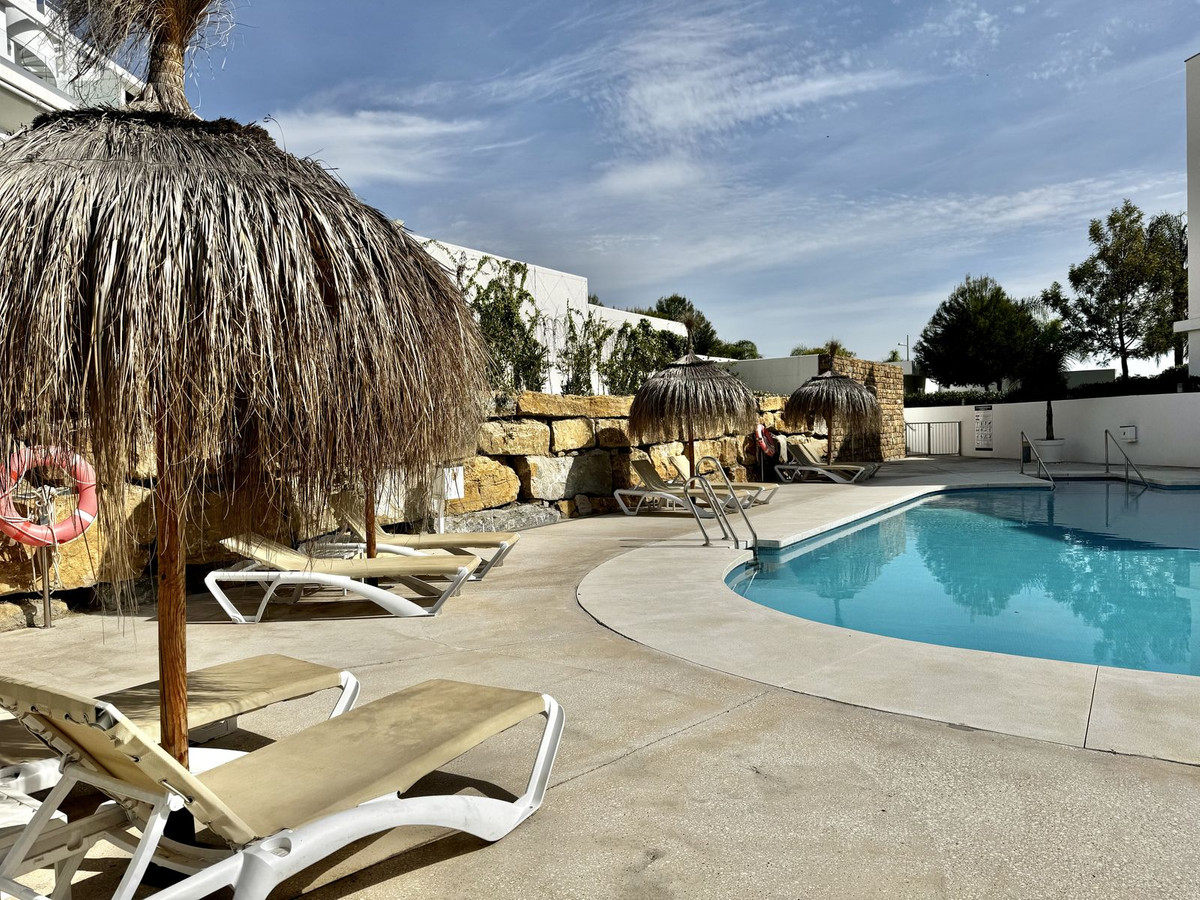 abdf3d9d5bbe15b517a70ea4d9d92f70 - 24