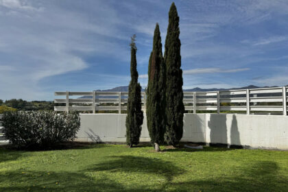 abdf3d9d5bbe15b517a70ea4d9d92f70 - 26