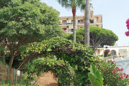 ac4f2b1fdf06e8bcd77cbfcb80998f33 - 25