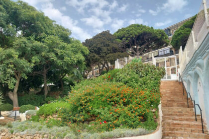 ac4f2b1fdf06e8bcd77cbfcb80998f33 - 42