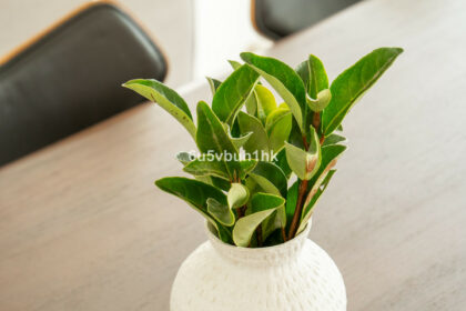 ade0323b18abda31b4cea69c233a4d79 - 35