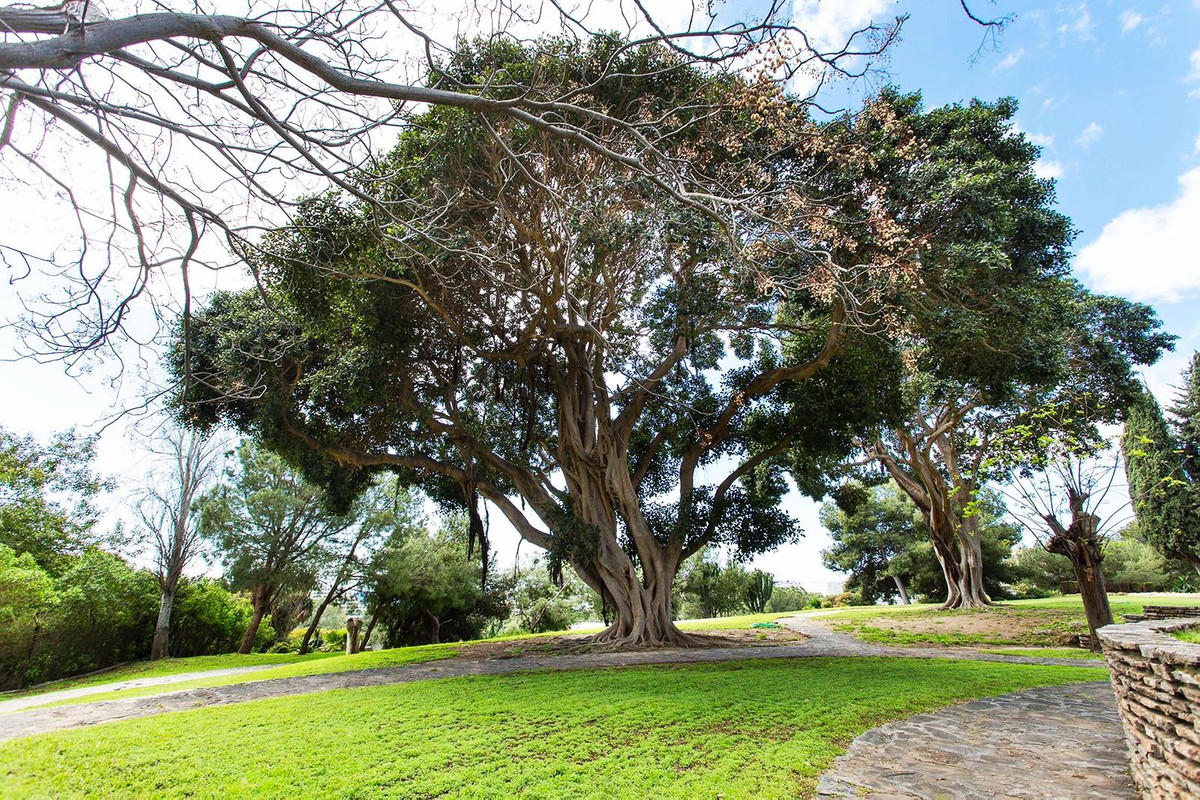 aef6a50242a24b33e70fdc0fe547e93e - 3