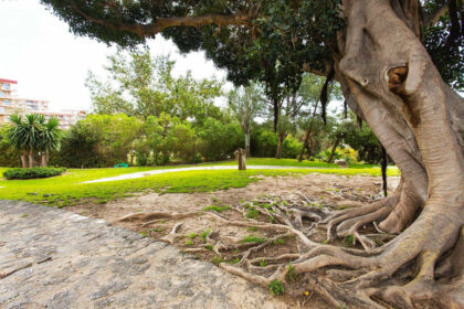 aef6a50242a24b33e70fdc0fe547e93e - 4