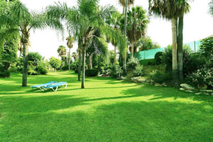 b0811119c30db1f7e32b4a762dc7aa44 - 33