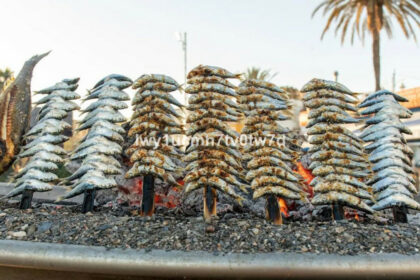 b0b452c6aef0bd7fe9fd4dc38da783bb - 17