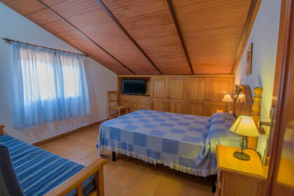 b3772eafad5fa665272493c59948b653 - 11