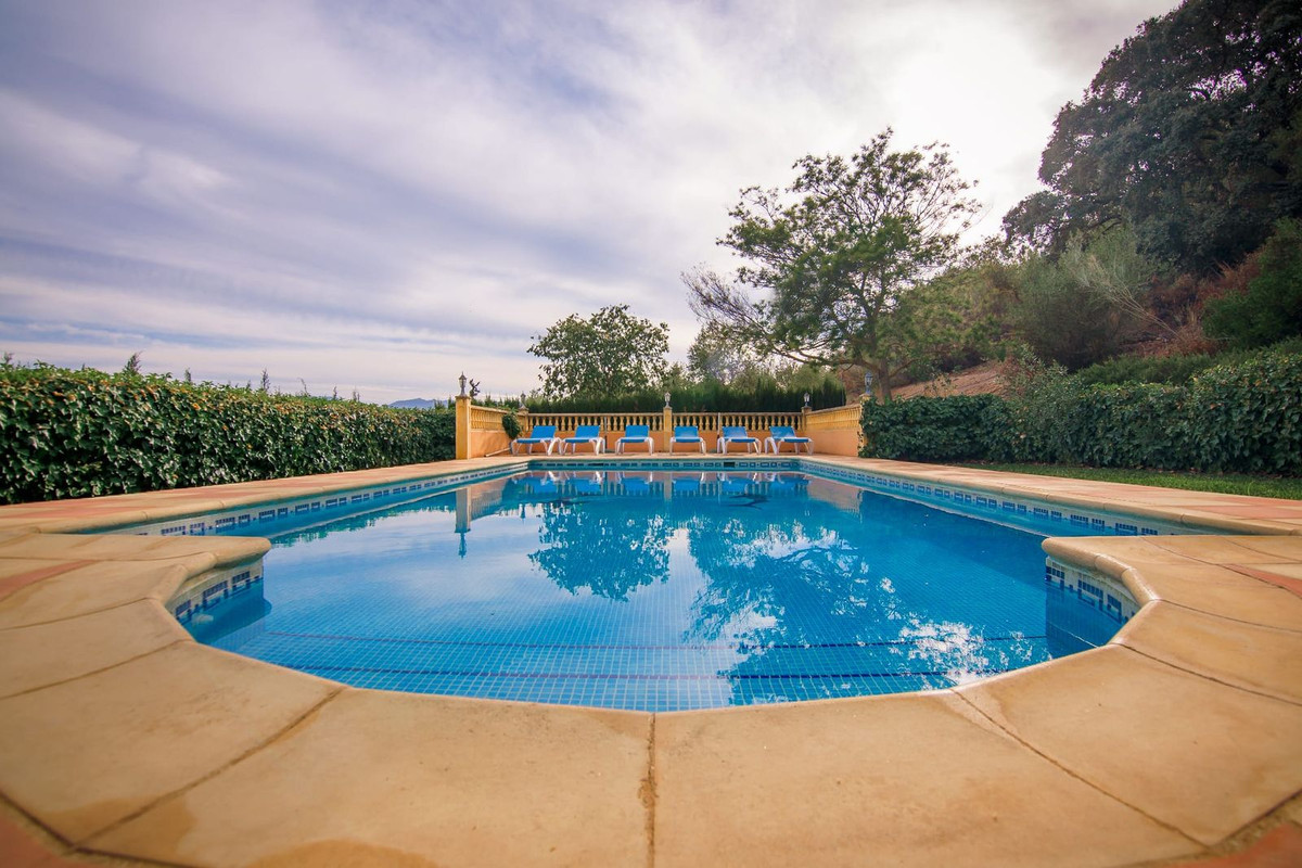 b3772eafad5fa665272493c59948b653 - 30