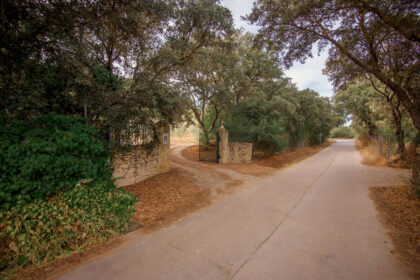 b3772eafad5fa665272493c59948b653 - 32