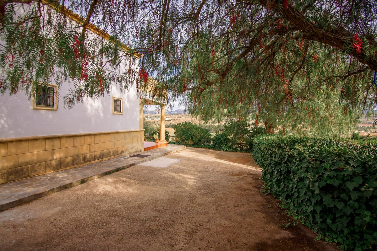 b3772eafad5fa665272493c59948b653 - 37