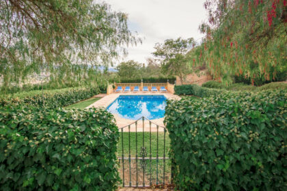 b3772eafad5fa665272493c59948b653 - 38