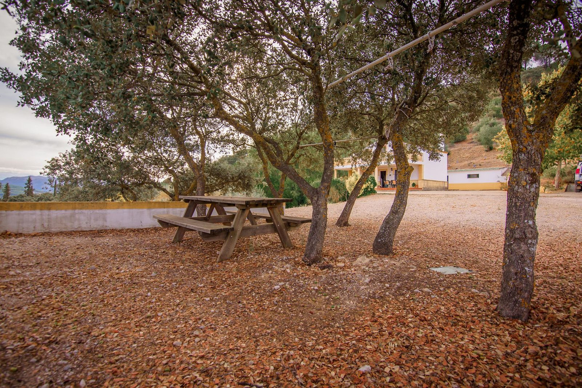 b3772eafad5fa665272493c59948b653 - 39