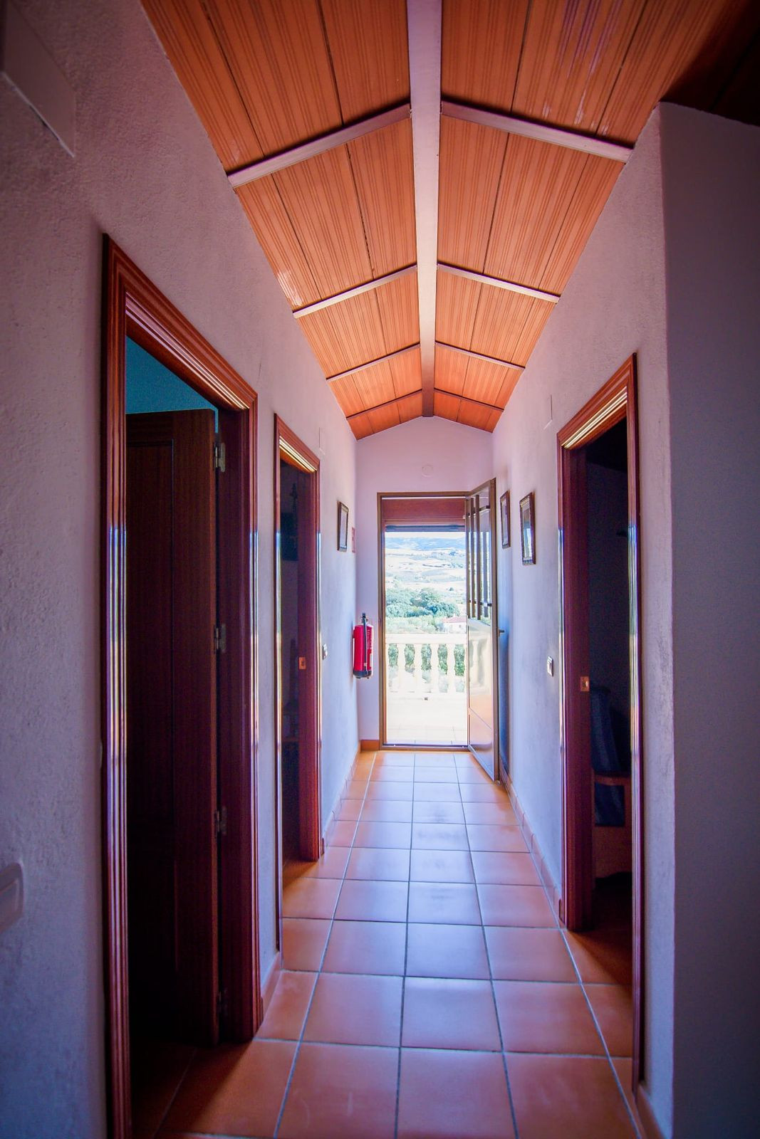 b3772eafad5fa665272493c59948b653 - 43