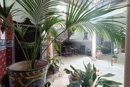 b40851173ad0f0b99d657267e4639dae - 1