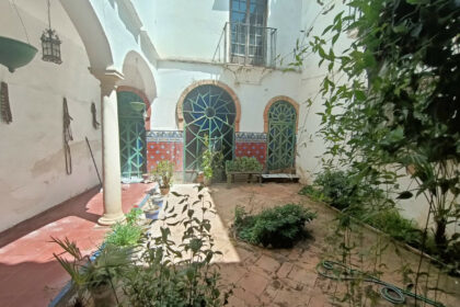 b40851173ad0f0b99d657267e4639dae - 28