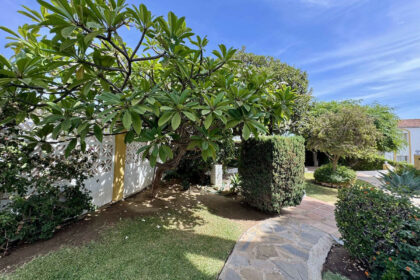 b40add9cb7382cae401859e8b8fed73a - 20