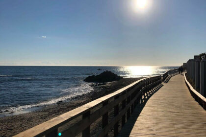 b40add9cb7382cae401859e8b8fed73a - 21