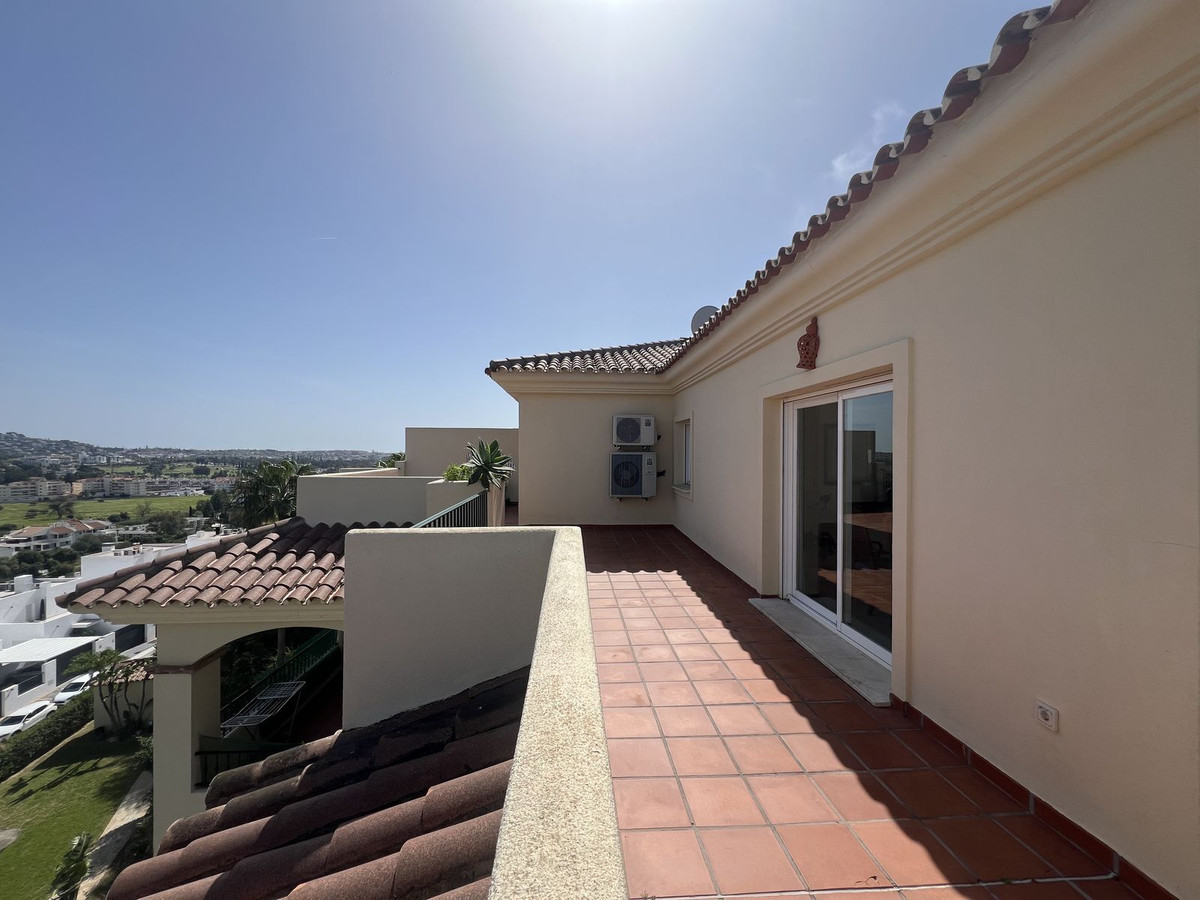 b5ab21c74921b0cc3e59125336095536 - 29