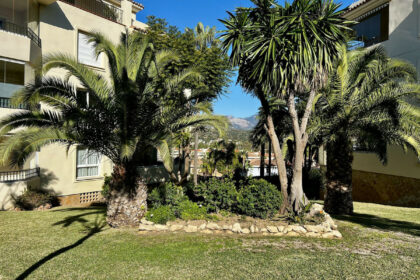 b5ab21c74921b0cc3e59125336095536 - 33