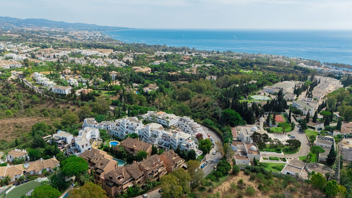 b6a1c37c8c8cfb9f781674ed6669dc32 - 24