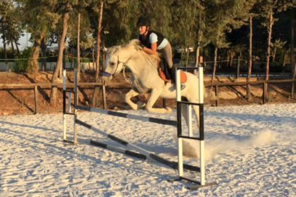 b723ebc4132d3481682102d50dea7848 - 13