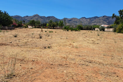 b723ebc4132d3481682102d50dea7848 - 2