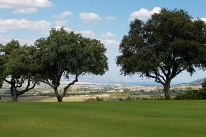 b723ebc4132d3481682102d50dea7848 - 3