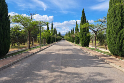 b723ebc4132d3481682102d50dea7848 - 5