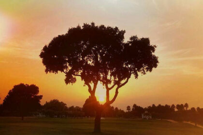 b723ebc4132d3481682102d50dea7848 - 7