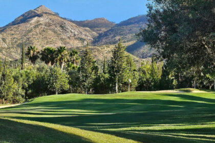 b723ebc4132d3481682102d50dea7848 - 8