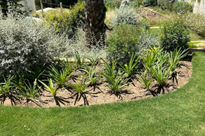 b7a10bb93f456f88be3364086de0700d - 57