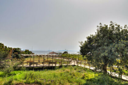 b942047e9fbef55cabdb4b7d1db1e0fa - 49