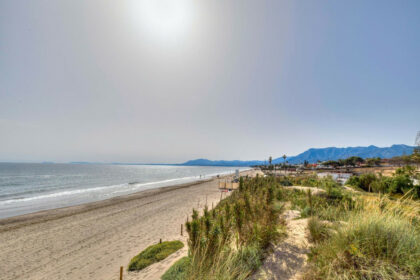 b942047e9fbef55cabdb4b7d1db1e0fa - 51