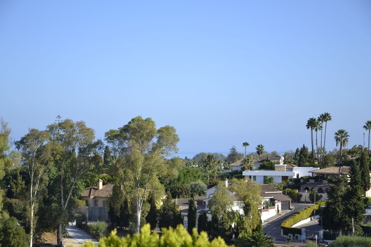 b952c2d374a78262a68d349db4017fce - 58