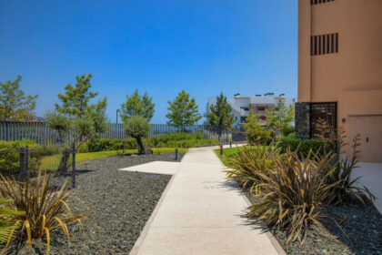 bbaf3626145ca1443a4eaf55df2ce931 - 21