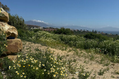 bc25fa81a4311b30b162d7aa4dd69cad - 10